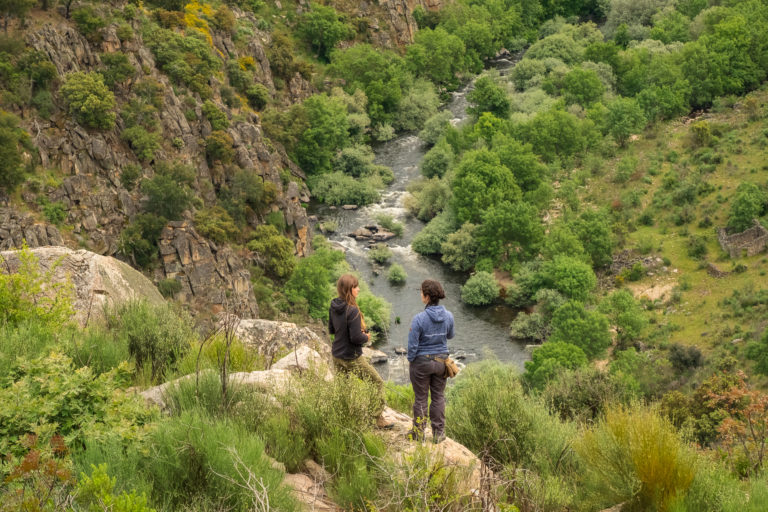 Rewilding Portugal com documentário nomeado para maior festival de cinema científico do mundo