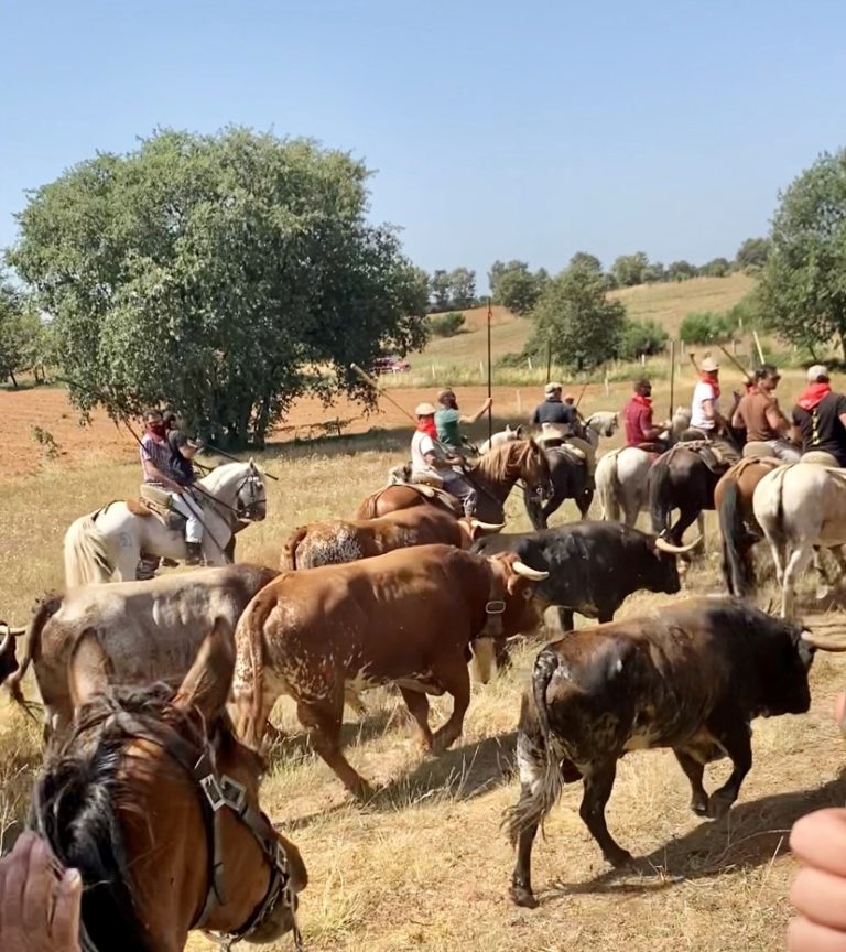 Vitória dos Infantis da Desportiva do Soito