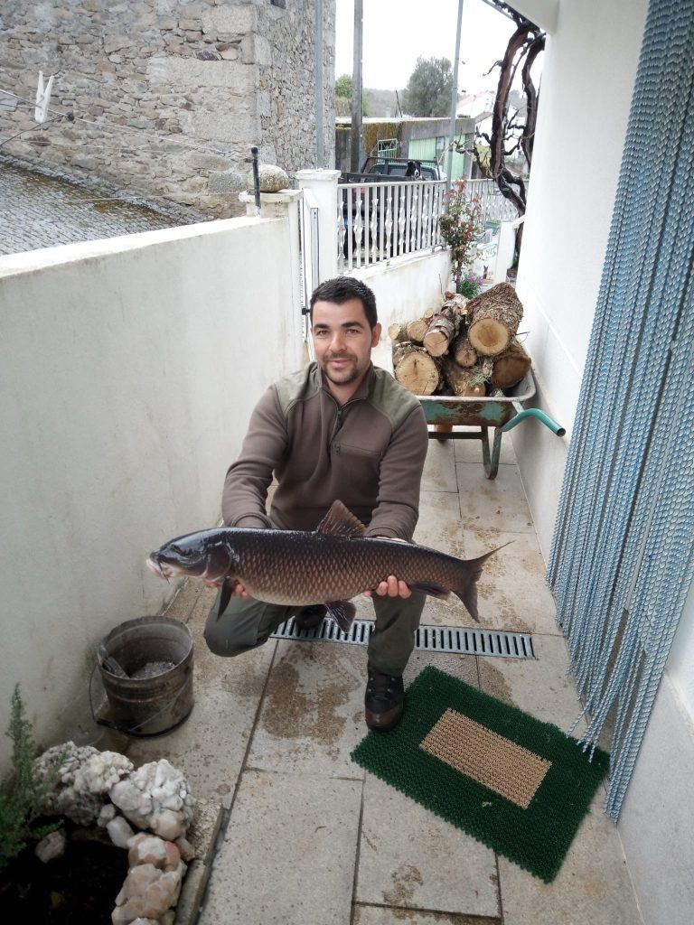 Peixe pescado no rio Côa com mais de 8 quilos