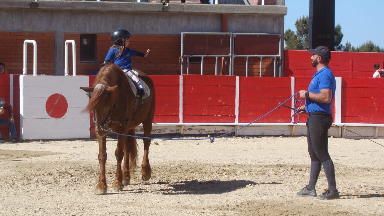 Associação Hípica Amigos do Cavalo, do Soito proporciona aulas de equitação a mais de 120 pessoas