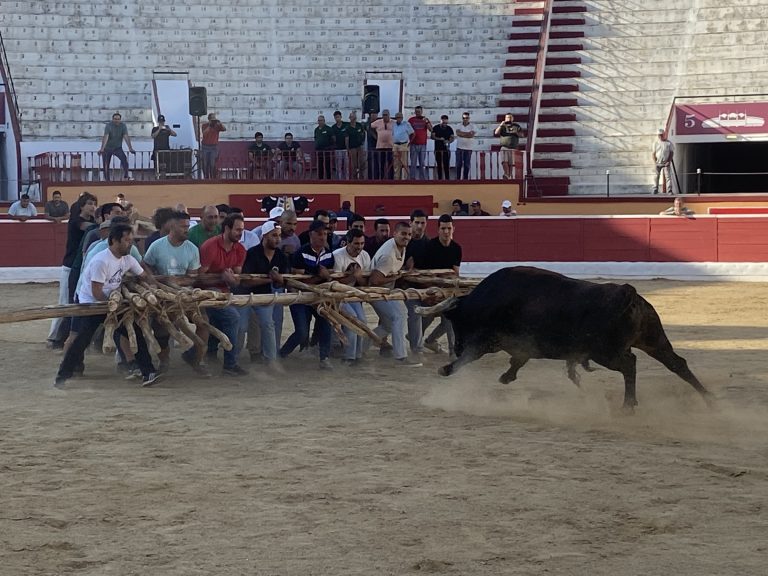 Capeia Arraiana no Montijo