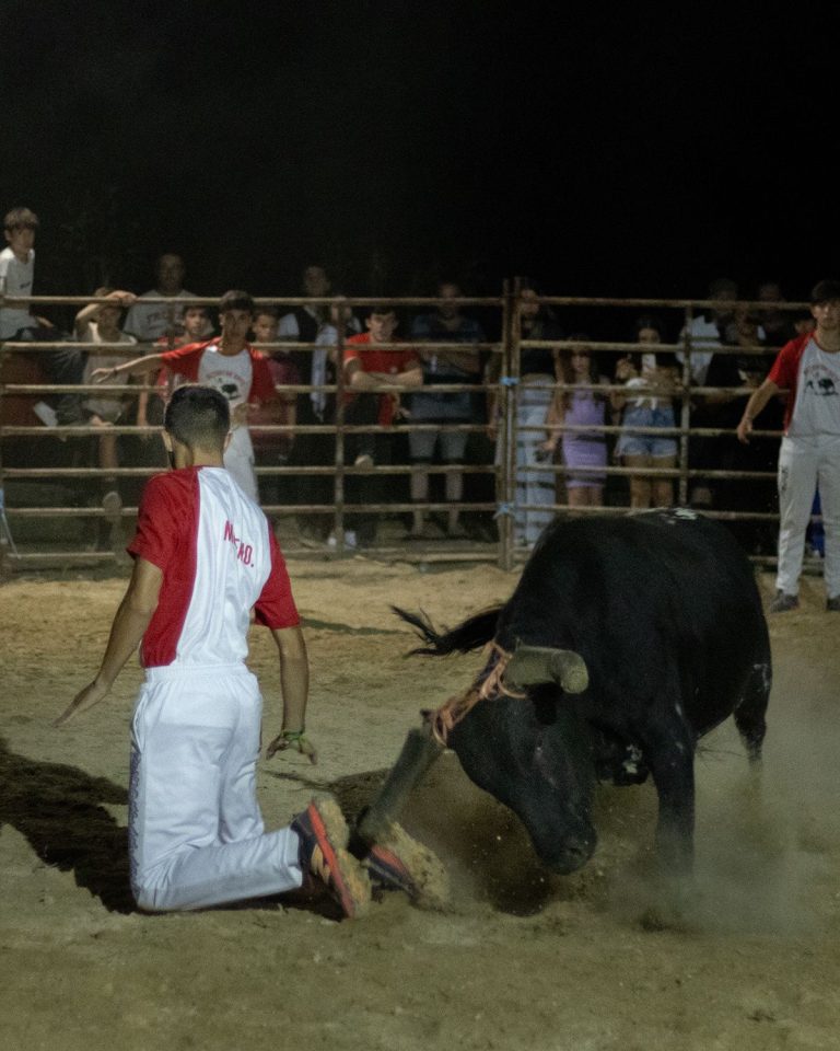 Espetáculo taurino na Aldeia Velha