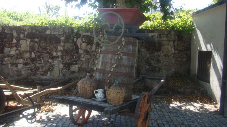 Carlos de Almeida apresenta exposição de Agricultura em Vila do Touro