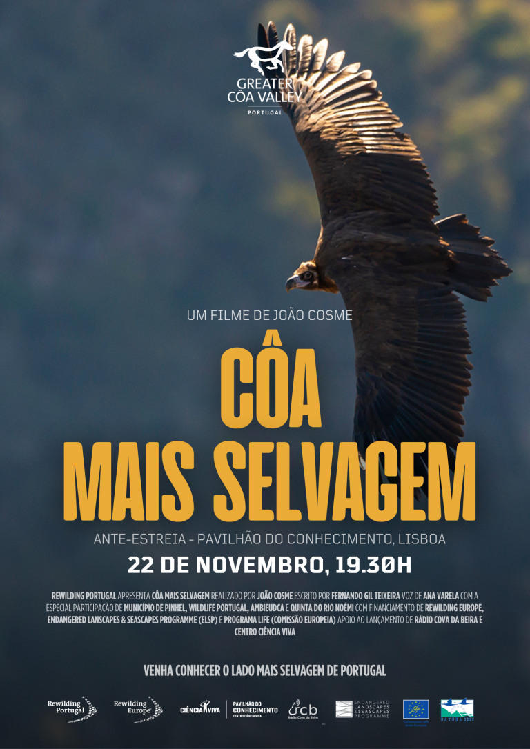 “Côa Mais Selvagem”, o novo documentário que lhe vai dar a conhecer o lado mais selvagem de Portugal