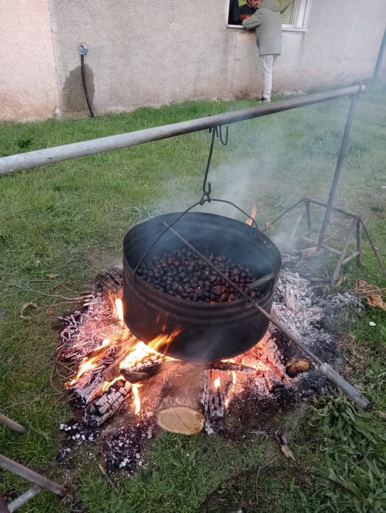 Associação dos Amigos de Ruivós promoveu Magusto